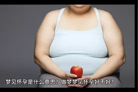 梦见怀孕视频封面