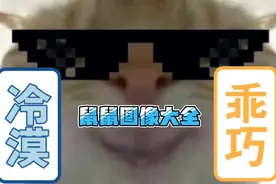 广西大师鼠鼠大全，图片放评论区了(可能有个别重复)视频封面