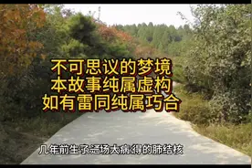 做了一个梦后 病情好转 虚构故事视频封面