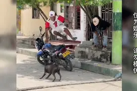 恶搞路人，街头戴上的面具整蛊路人，他们的反应绝对超乎想象视频封面