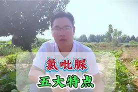 细胞分裂素氯吡脲的五大特点和应用，氯吡脲膨大配方！视频封面