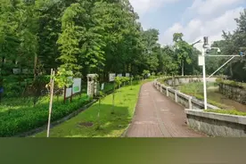 广东树木公园游视频封面