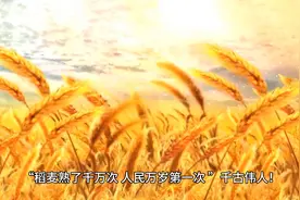 “稻麦熟了千万次，人民万岁第一次”人民永远怀念毛主席