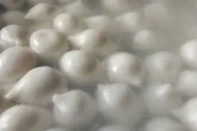 普通话叫汤圆，湖北利川话叫汤巴…你们那里叫什么？视频封面