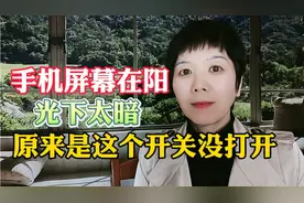 手机屏幕在阳光下太暗原来是这个开关没打开