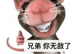 乐子骂人回怼表情包