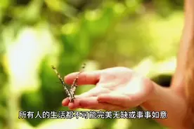人生的确很累，看你如何品味，让自己的每一天多寻找一些快乐