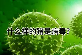 什么是病毒？什么是株？视频封面