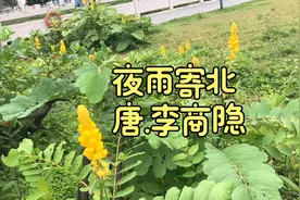 #秋日生活打卡季#【夜雨寄北】唐代诗人李商隐的一首抒情七言绝句视频封面