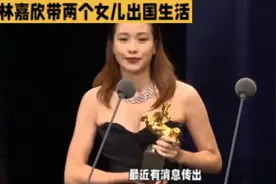 “林嘉欣袁剑伟离婚，不要忽略了两个孩子的成长与幸福视频封面