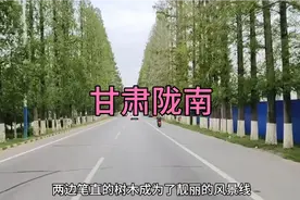 从陕西省汉中市去甘肃省陇南市康县