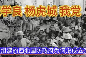 张学良杨虎城我党为何没有组建西北国防政府？视频封面
