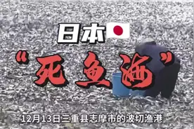日本海岸出现千吨死鱼潮，排放核污水的危害已经严重  ( 转播)视频封面