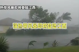台风"格美"橙色预警，江西将迎强风雨视频封面
