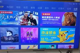 14年买的小米电视，基本上除了看新闻就是投屏，不买会员对付看视频封面