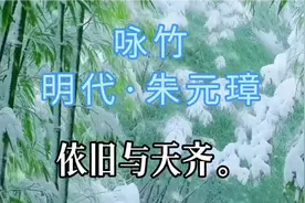 古诗诵读《咏竹》朱元璋：雪压枝头低，虽低不着泥视频封面