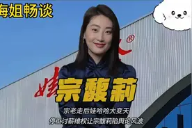 宗老走后娃娃哈大变天停工讨薪维权让宗稪莉陷论风波视频封面