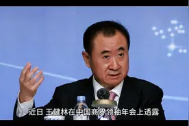 首富变“首负”，王健林高额债务从哪来？#中国商业故事视频封面