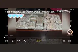 巨额现金“闯关”！旅客私带230万美元入境触红线视频封面
