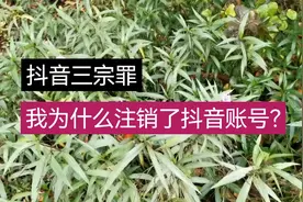 抖音三宗罪——我为什么注销了抖音账号？