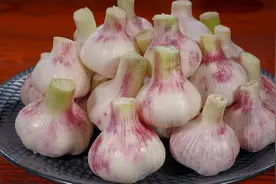 腌糖蒜只放糖和醋是大错，教你正确做法，酸甜脆爽，一年不会坏