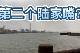 这就是上海滨江的第二个陆家嘴？ #上海滨江 #闵行滨江 #杜行视频封面