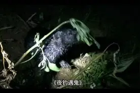 夜钓遇鬼视频封面