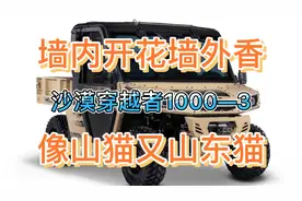 山东淄博奥德斯生产的山东猫又火了！大家说这是农用车吗？视频封面
