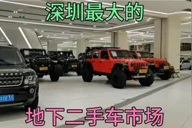 深圳地下二手车市场：路虎9万，宝马8万，奥迪7万视频封面