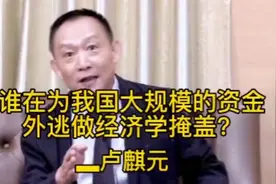 卢麒元：谁在为我国大规模的资金外逃做经济性掩盖？#卢麒元视角