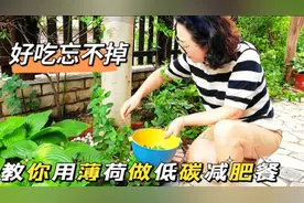 原来薄荷有那多的好处，用薄荷做份减肥餐，方法简单好吃忘不掉