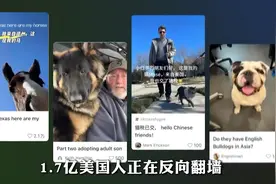 中美民间情报对账，美国人破防了视频封面