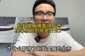 为什么暂停了蚂蚁金服的上市，说完这一期，我相信你们都会明白了视频封面