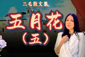 三毛散文《五月花》（5/8）三毛与德国老板“硬碰硬”视频封面