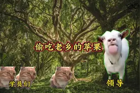 偷吃老乡的苹果视频封面