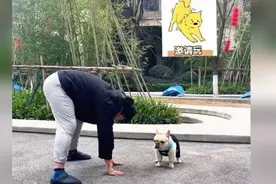听说这个姿势是“邀请狗狗一起玩”！他好像邀请成功了😂视频封面