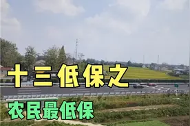 都说江苏退休是13低保，其实还有一个农民之最低保。视频封面