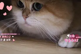 拍着拍着就学会看镜头拍照啦视频封面