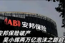 安邦保险破产：吴小晖两万亿泡沫之路启示视频封面