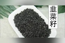 韭菜籽味辛、甘，性温入肝经和肾经，用于肾虚阳痿尿频、尿浊等。