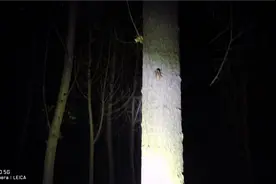 有人说知了猴冷冻一年放到常温下，还能活过来，现在直接试验