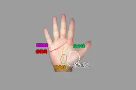 掌心凹陷能存水，手握聚宝盆，能守财。