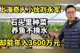 种菜奇人！上海小伙石头种菜，年赚3600万！太牛了👍。视频封面