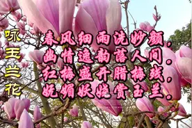 遇见好看的花，一定要和你一起分享！