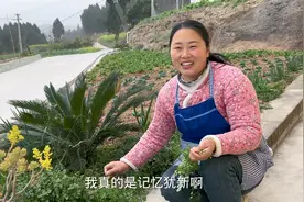 我的再生父母来我家了，看到我现在的生活，不知道他们会不会高兴视频封面