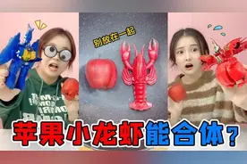 苹果小龙虾千万不能放在一起“合体”后太惊人竟然会变机器人