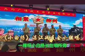 《小白杨》铁道兵“两广情·战友缘”第五届联谊会#晚会现场视频视频封面