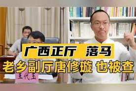 广西打虎！广西财政厅副厅长王代玉落马！老乡副厅唐修璇也被查！视频封面