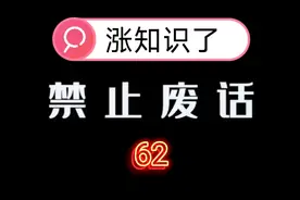 禁止废话：狗狗为什么不敢和你对视？涨知识视频封面