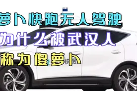萝卜快跑无人驾驶，为什么被武汉人称为傻萝卜？
